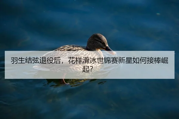 羽生结弦退役后，花样滑冰世锦赛新星如何接棒崛起？
