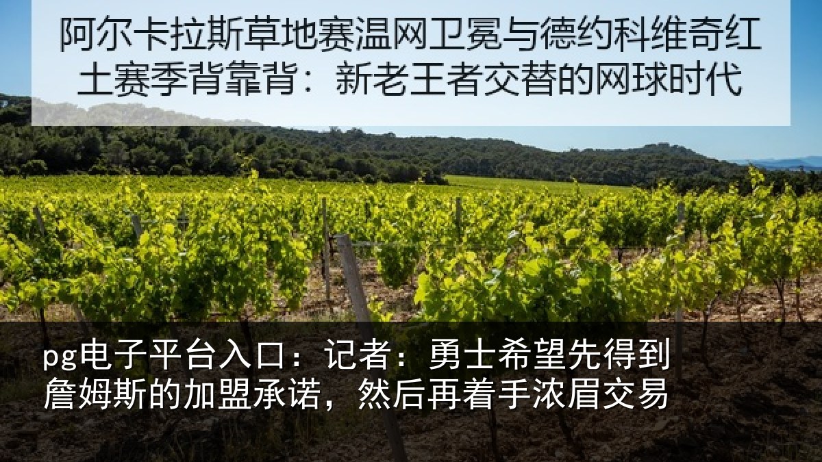 pg电子平台入口：记者：勇士相关情况的加盟承诺相关情况易