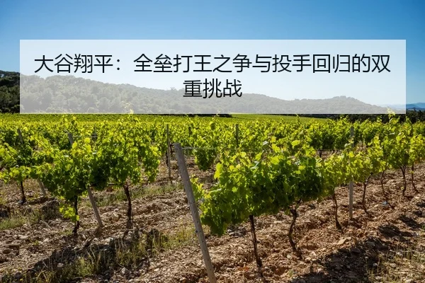 大谷翔平：全垒打王之争与投手回归的双重挑战