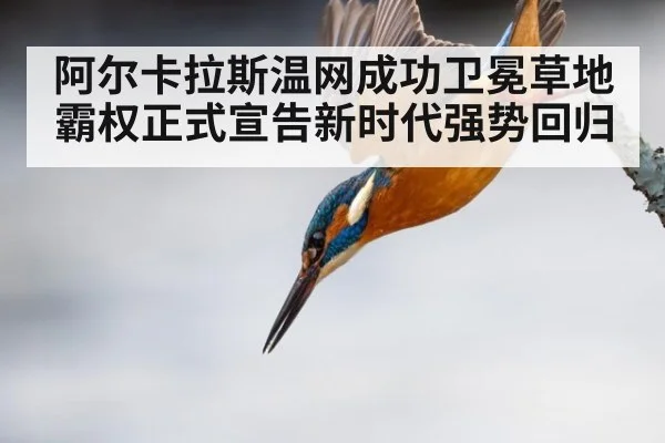 阿尔卡拉斯温网成功卫冕草地霸权正式宣告新时代强势回归