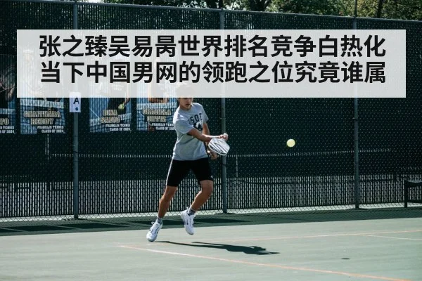 张之臻吴易昺世界排名竞争白热化当下中国男网的领跑之位究竟谁属