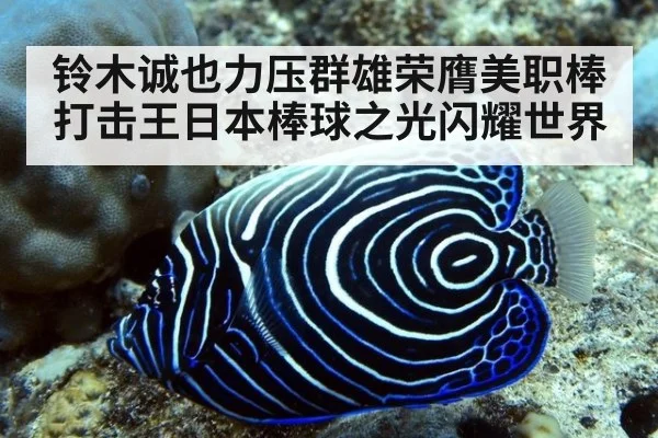 铃木诚也力压群雄荣膺美职棒打击王日本棒球之光闪耀世界